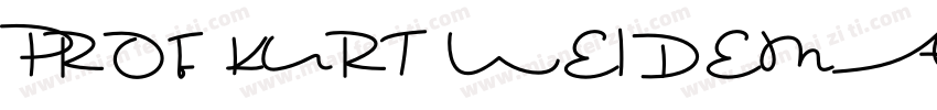 PROF KURT WEIDEMANN字体转换